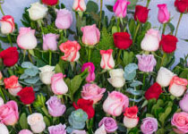 rosas dia de la madre guatemala